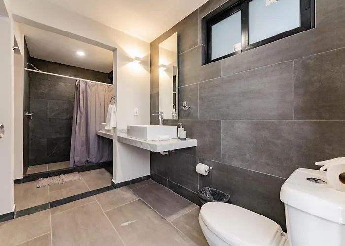 Condesa Lofts & By Vh *