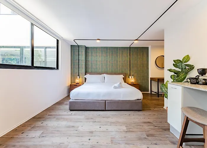 Condesa Lofts & By Vh *