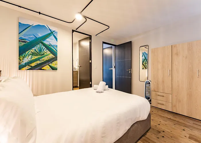 Condesa Lofts & By Vh Hotel Mexico City